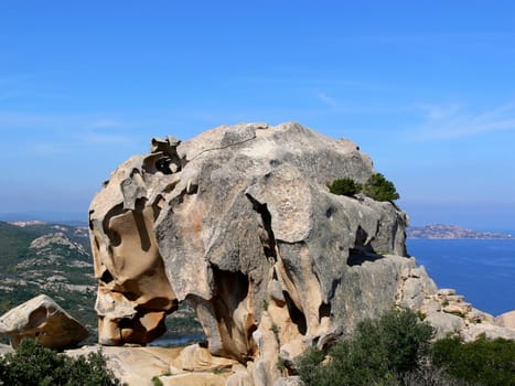 Capo d'Orso,Tafoni Rock,Bear,Rock Forms