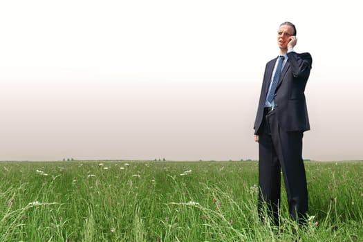 Businessman on the phone on a meadow