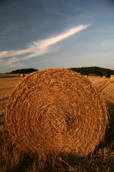 Bales on a stubble field