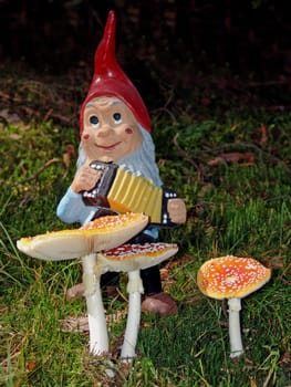Fungal dwarf