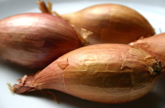 Shallots (3)