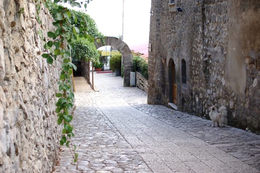 Antico Borgho