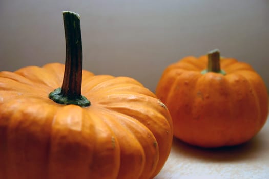 Pumpkin (4)