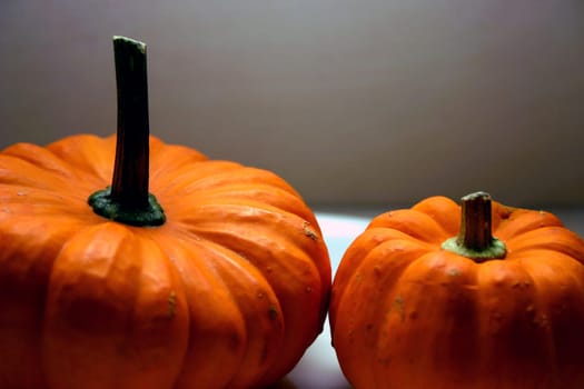 Pumpkin Still Life (2)