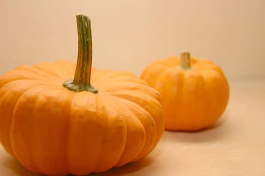 Pumpkin still life