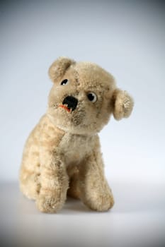 Old,beloved plush dog
