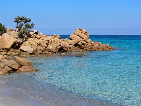 Costa Smeralda,tree on rock