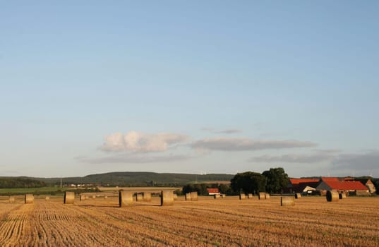 Harvest time...