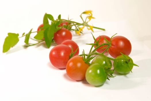Cocktail tomatoes