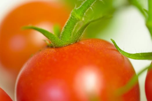 Cocktail tomatoes