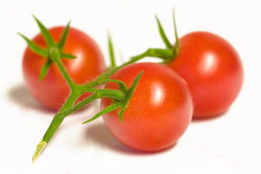 Cocktail tomatoes