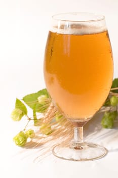 Pilsner glass with hops and barley