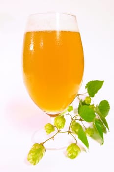 Pilsner glass with hops