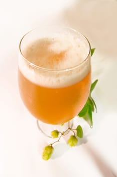 Pilsner glass with hops