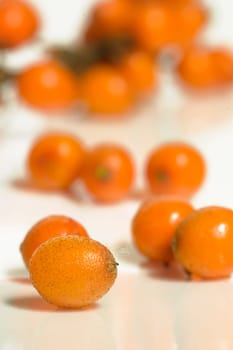 Sea buckthorn is also known as the "lemon of the north"" and,depending on the variety,has 4 to 12 times as much vitamin C as lemons and oranges."