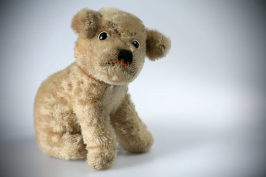 Old,beloved plush dog