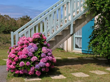 Rothenéneuf,Brittany,Blue Staircase