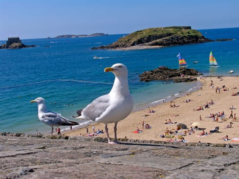St-Malo,Brittany
