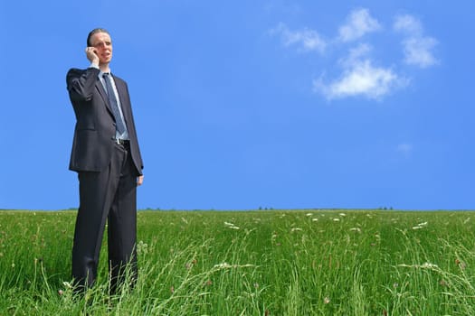 Businessman on the phone on a meadow