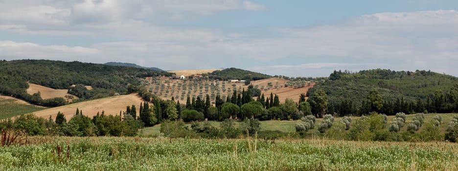 Tuscany Landscape
