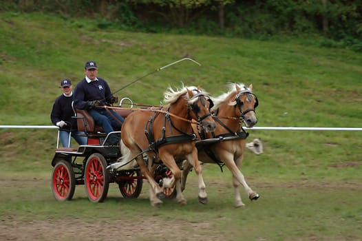Yesterday an equestrian tournament took place at our Wolter riding stable in Stargard Castle! Especially the two-horse obstacle course was a lot of fun (at least while watching)! But so much dust was whirled up that my camera had to suffer again....!
