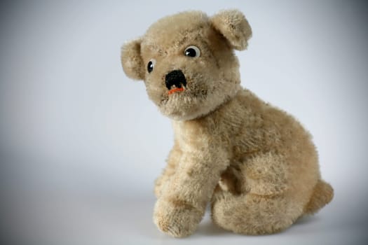 Old,beloved plush dog