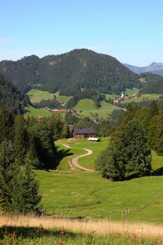 On the alpine pasture
