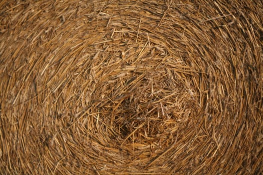 Bales on a stubble field