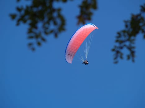 Paragliding in Kössen