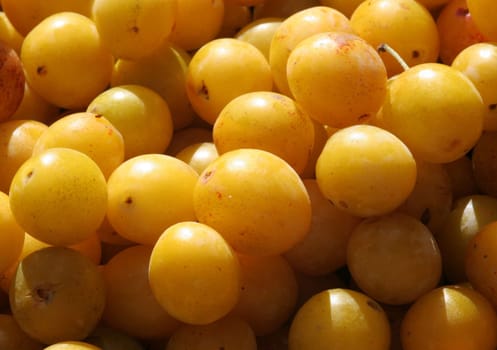 Mirabelle plums...