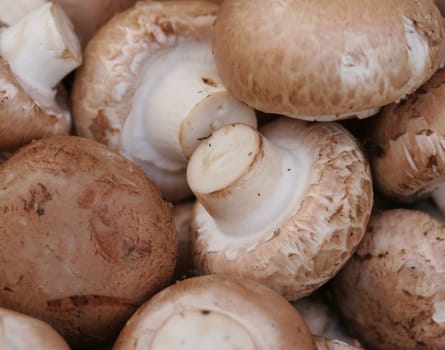 Champigons