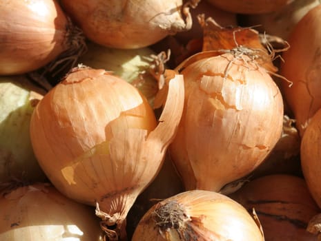 Onions