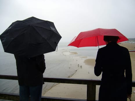 Rain