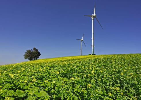 Alternative energies