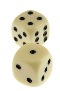 Cube 31