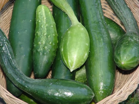 Cucumbers