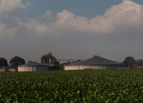 Biogas plant