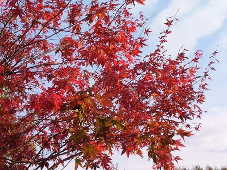 Autumn 10