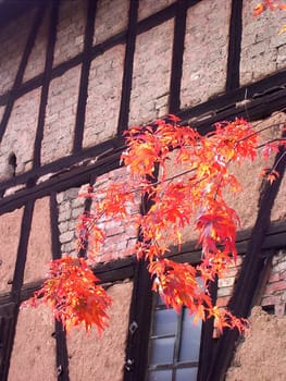 Autumn 09