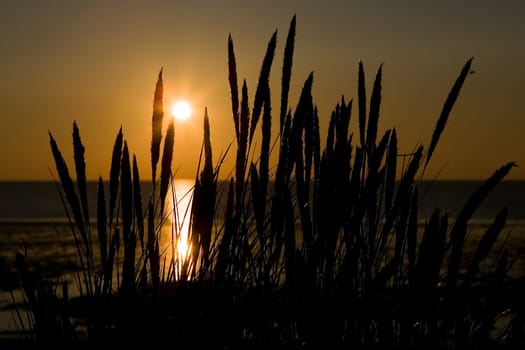 sunset or (sunset beach) or (sunset nature) or (sunset skyline)