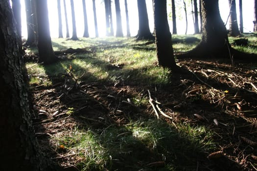 Light and shadow3