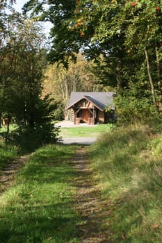 Cabin in the woods