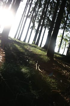 Light and shadow2