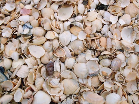 Shell fracture