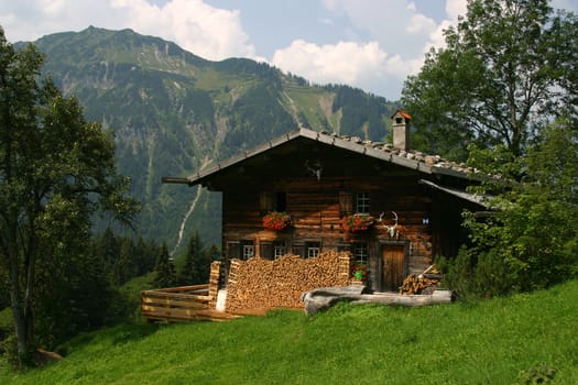 Cabin in the mountains