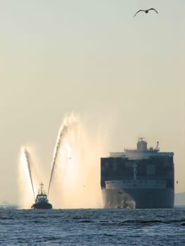 Welcome to the maiden arrival in the Port of Hamburg