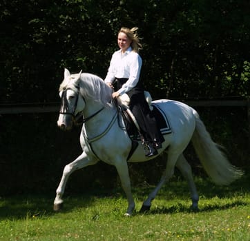 Trot