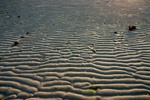 Wadden Sea on the island of Föhr.