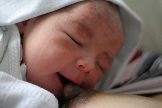 I am male,52 cm tall,weigh 3480 grams,just 2 hours old and have already found my great love  -)