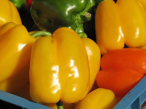 PEPPERS,PEPPERS,ORGANIC VEGETABLES,ORGANIC FOOD,FOOD,FRESH,VEGETABLES,VEGETABLES,HEALTHY,GREENS,RAW VEGETABLES,RED,LETTUCE,VITAMIN,VITAMINS